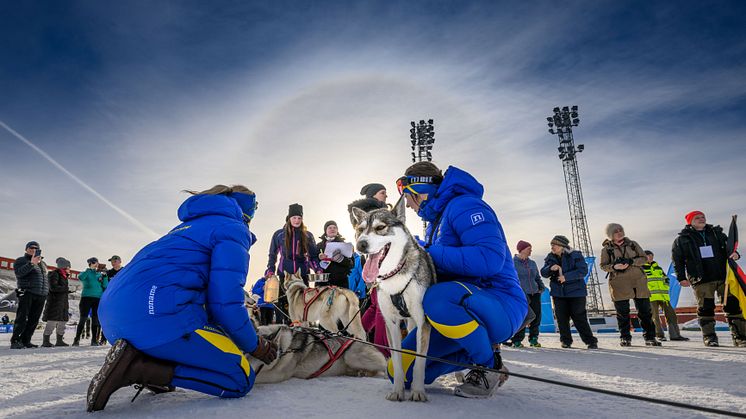 Draghunds-VM 2025 intar Östersund 7-9 februari