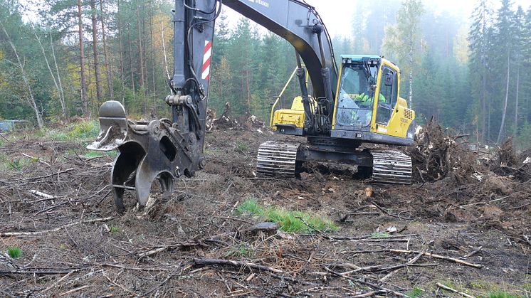 Stubbskörd. Foto: Pär Aronsson, SLU