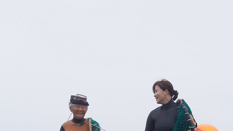 P1004056