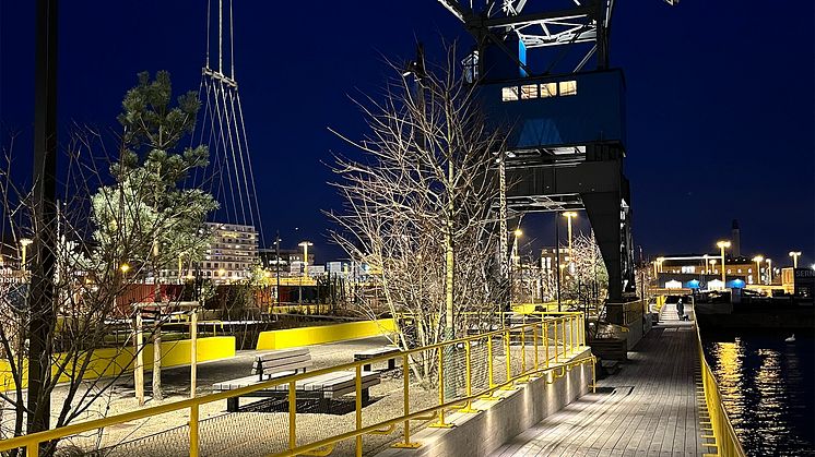 DockanPark2