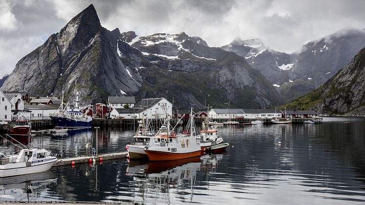 Nordland, Reine i Lofoten - foto Pixabay
