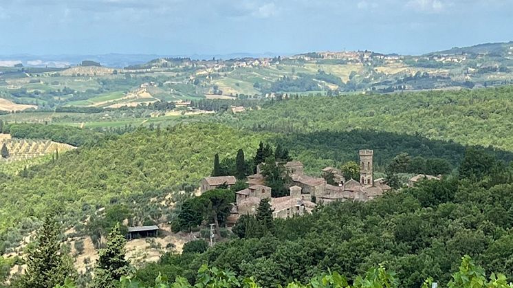 isole-e-olena-bred