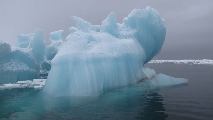 Akvaplan-niva bidrag til miljøovervåking på Svalbard og Jan Mayen