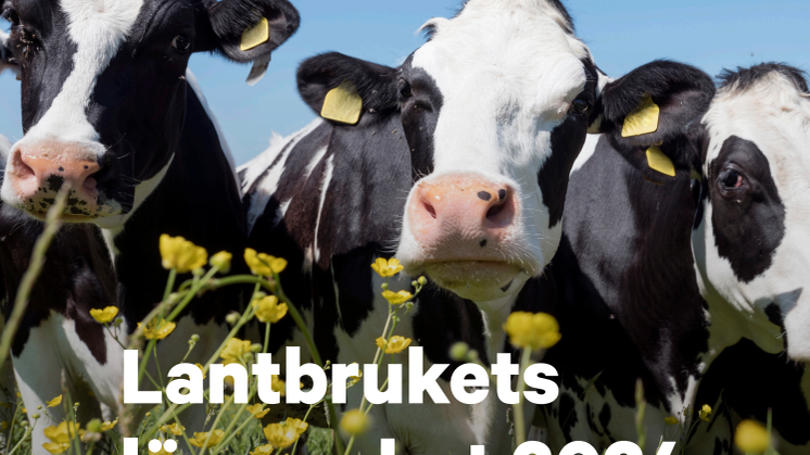 Lantbrukets lönsamhet 2024.pdf