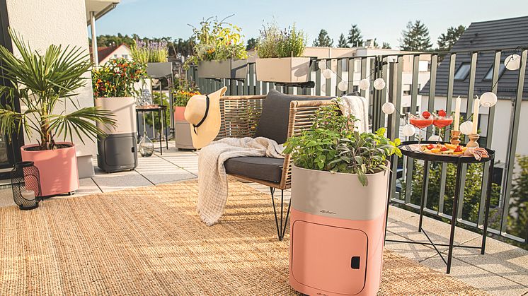Balkon-Oasen selbst gestalten: Tipps für ein eigenes grünes Paradies