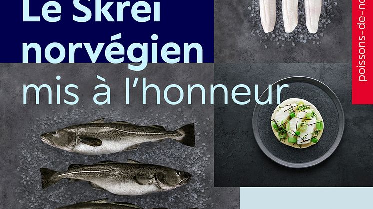 Skreikampanje Frankrike 