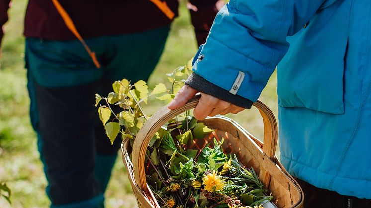 TheEdibleCountry_20190513_FotografEmmaIvarsson-3 (1)