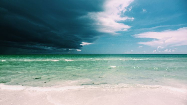 Beach-storm-wren-meinberg-bgONjl6y3bI-unsplash