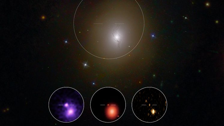 Den elektromagnetiska strålningen från kollisionen syns här som ultraviolett och infrarött ljus och som radiostrålning. Foto: Robert Hurt (Caltech/IPAC), Mansi Kasliwal (Caltech), Gregg Hallinan (Caltech), Phil Evans (NASA), GROWTH collaboration.