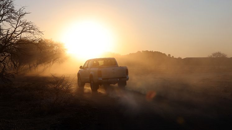 Spirit of Amarok 2019