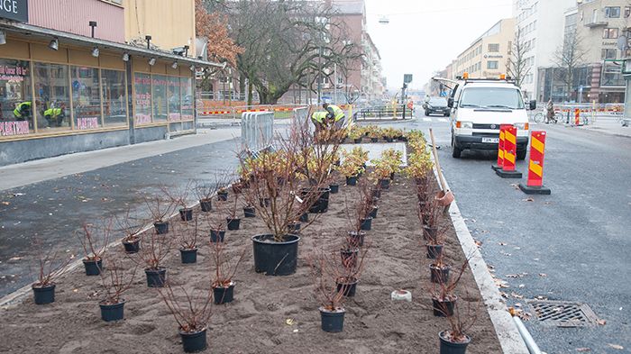 Trädgårdsgatan öppnas för trafik 18/11
