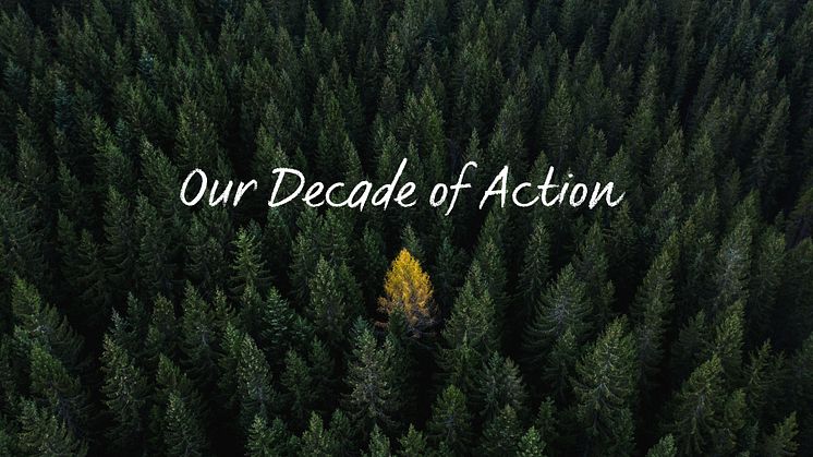 Our Decade of Action