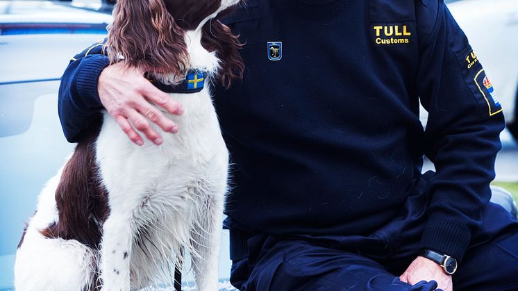 Årets narkotikasökhund 2016