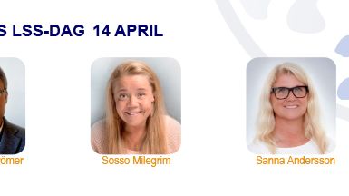 Misa föreläsningsdag LSS