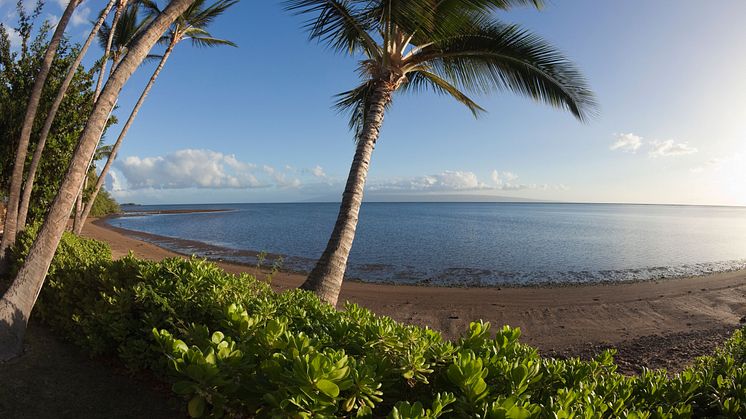 Molokai Island, Hawaii.