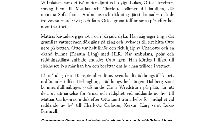 Helsingborgs stad delar ut utmärkelse för rådigt ingripande