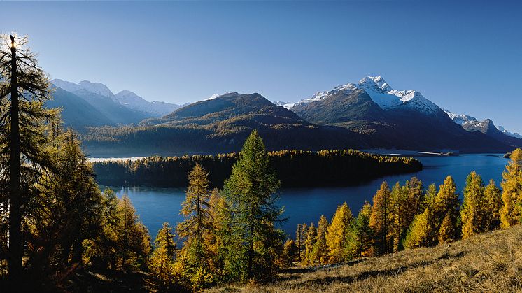 Frühnebel über dem Silsersee (1797 m) im Oberengadin, Graubünden 