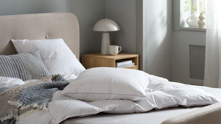 JYSK_SLEEPING.tif