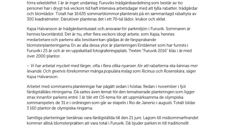 16 000 sommarblommor planterade i Furuvik