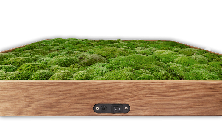 Soundbilder mit Audio-Technik von WHD