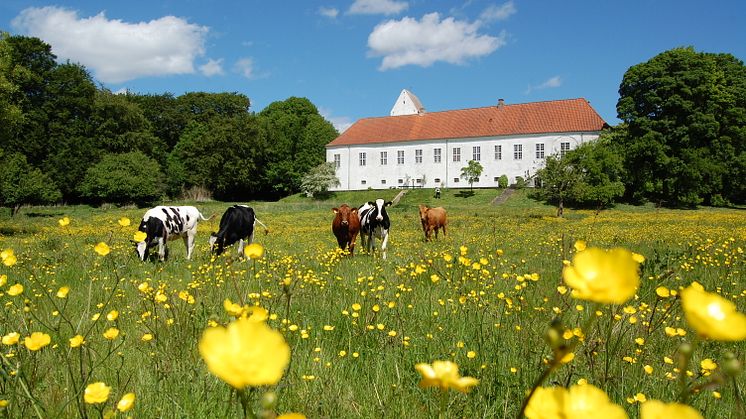 Ørslev Kloster