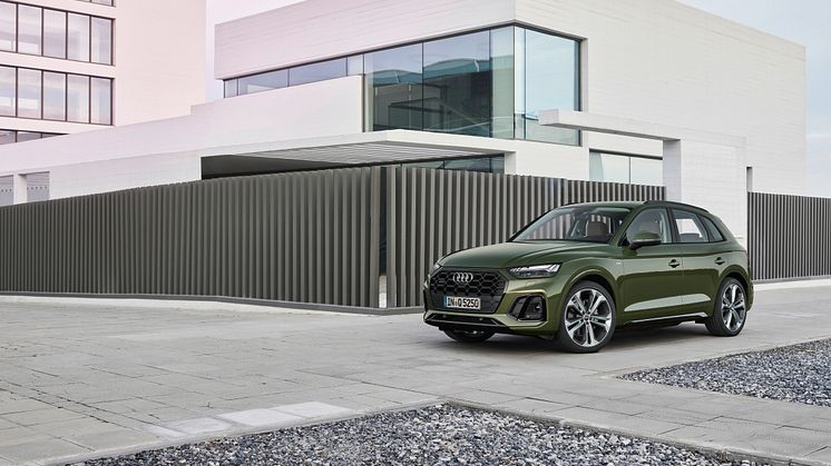 Audi Q5 2020 (Distriktgrøn)
