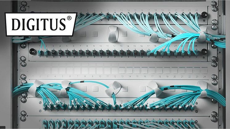 Product News: Future-oriented standards with DIGITUS®