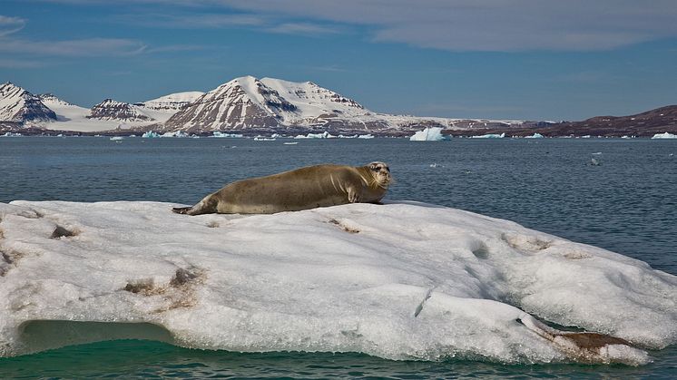 Complete-Spitsbergen-Expedition_Illustration-Photo_Kongsfjorden©Per-Lillehagen