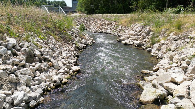 20230630_Fischwanderhilfe Donauwörth