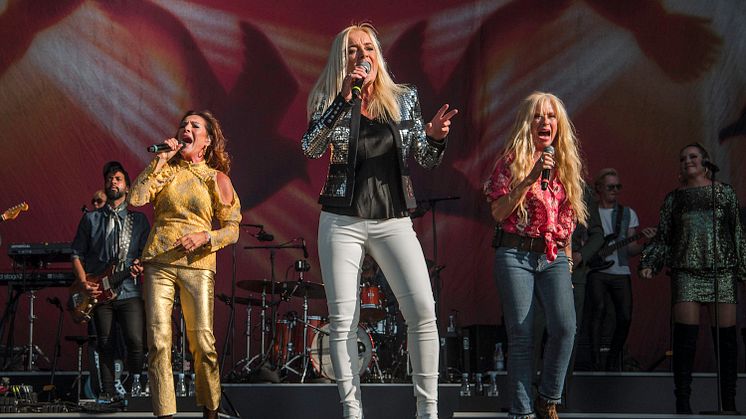 ANNE SANNE LIS - Grøn 2019