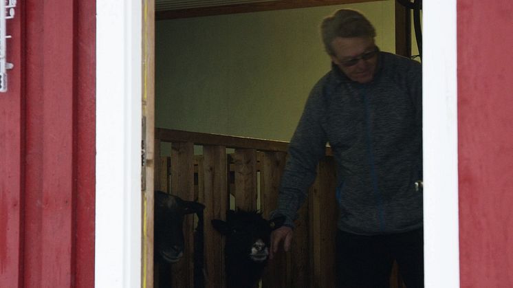 Knut på Hvaler lar solen varme opp boligen