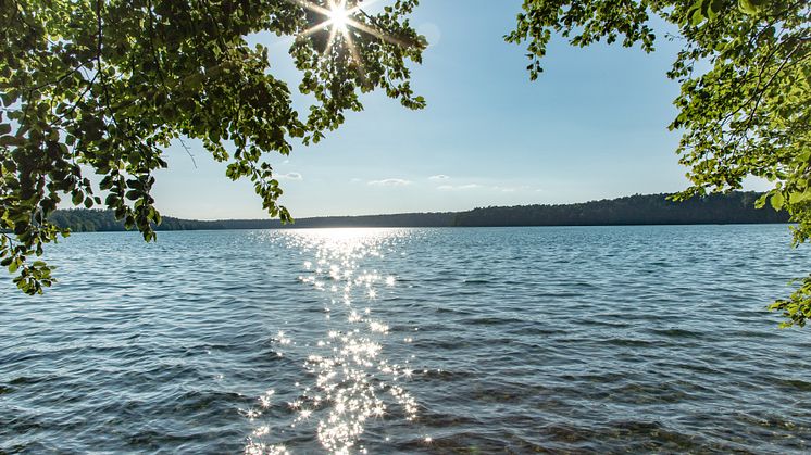 Glasklare Aussichten und auch pures Badevergnügen erwarten die Gäste beim Stand-Up- Paddling in Brandenburg wie hier am Stechlinsee. Foto: TMB-Fotoarchiv/Steffen Lehmann. 