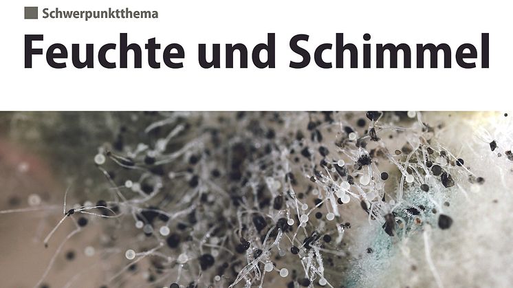 Gebäudeschadstoffe und Innenraumluft 1.2018 (2D/tif)