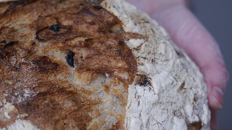 Bagare bullar upp för bakslag på Fredriksdal