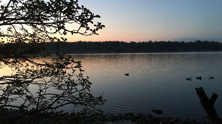 I väntan på Ejder
