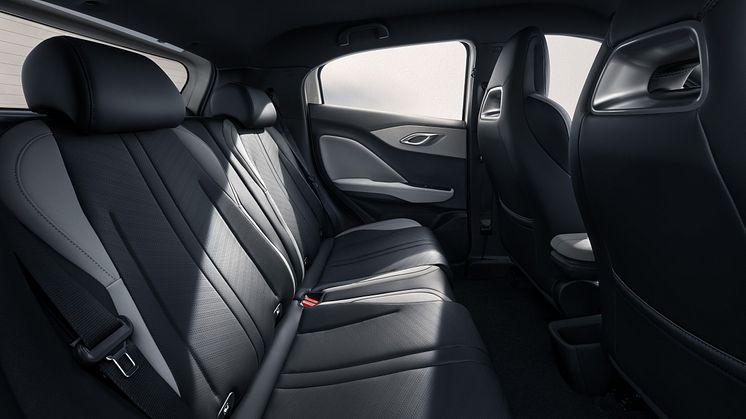 04、DOLPHIN SUER_LHD_Interior_Rear cabin space_download_JPG 5000PX.jpg