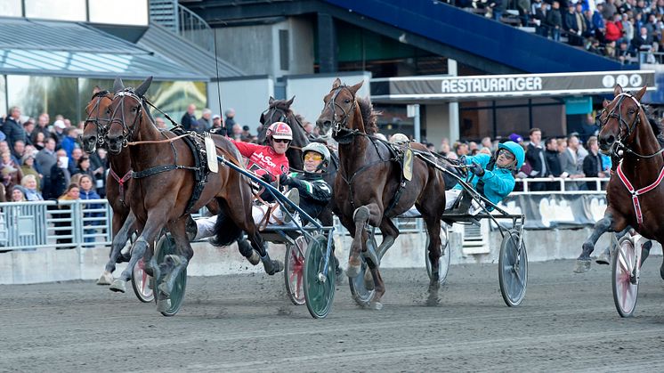 Inti Boko vann Svenskt Trav-Kriterium på Solvalla 2018. Foto: Lars Jakobsson/TR Bild