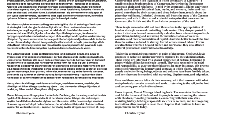 Seeds and Souls - Christine Eyene