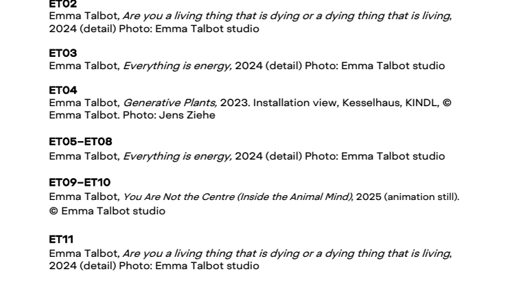 ET_Captions.pdf