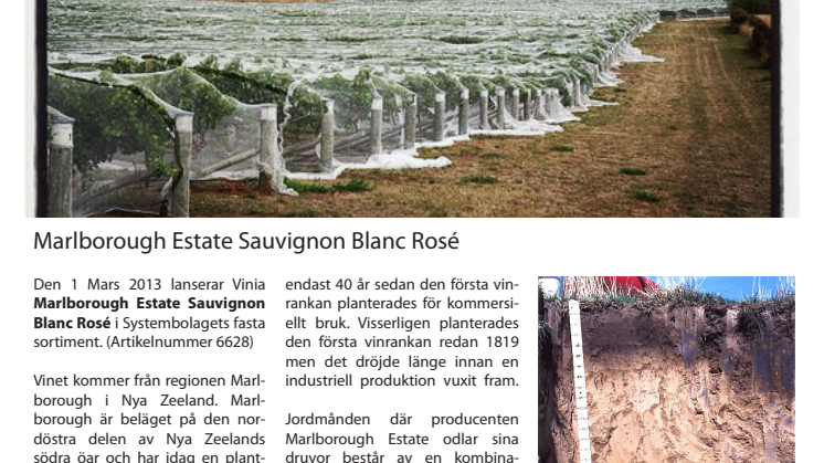 Nyhetsbrev Marlborough Estate Sauvignon Blanc Rosé