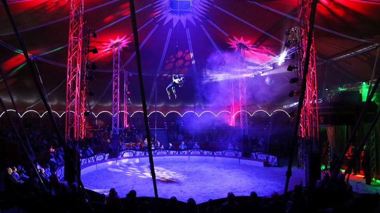 Auftritt des Zirkus Aeros in Leipzig - Foto: Andreas Schmidt