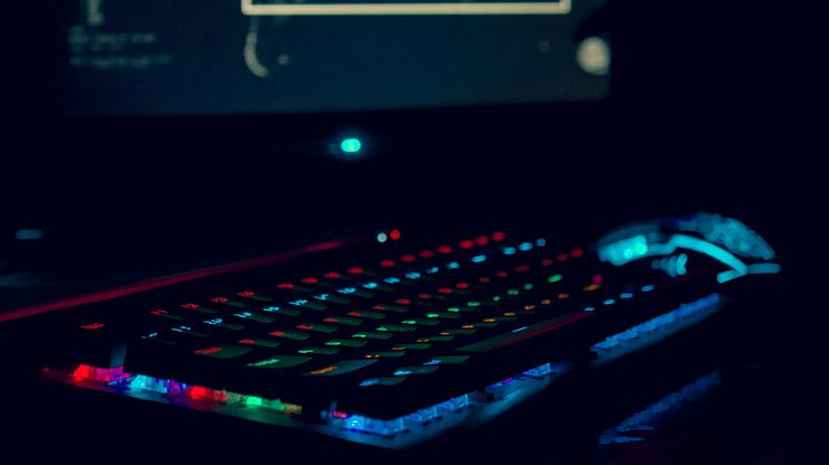 Många oroar sig för gamingbedrägerier  
