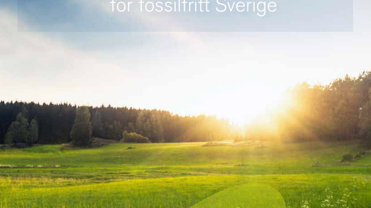 Färdplan Bioenergi – Så möter vi behovet av bioenergi för fossilfritt Sverige