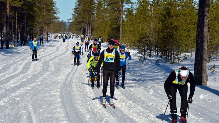 Vasaloppets vintervecka 2015 summerad i siffror