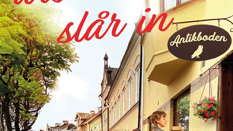 När drömmarna slår in omslag