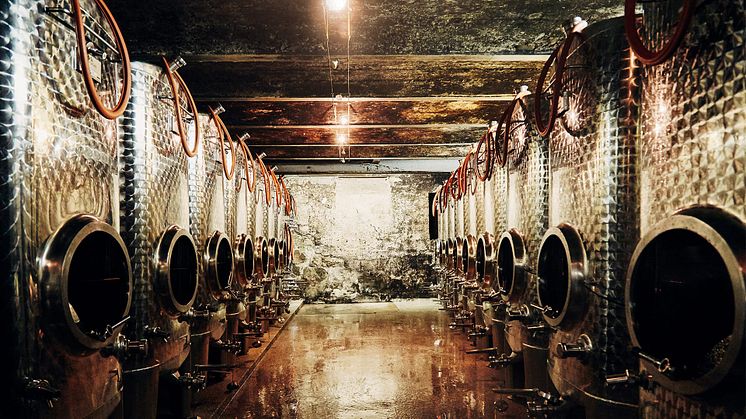 doennhoff-weingut-13.jpg