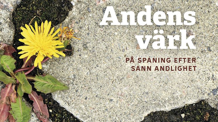 Bokomslag: Andens värk