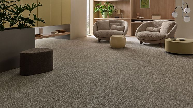 Website_Powerpoint-Tessera Twine 5004 terre thread large.jpg