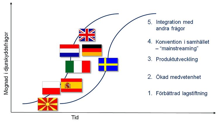 Vägkarta mot bättre djurskydd i Europa