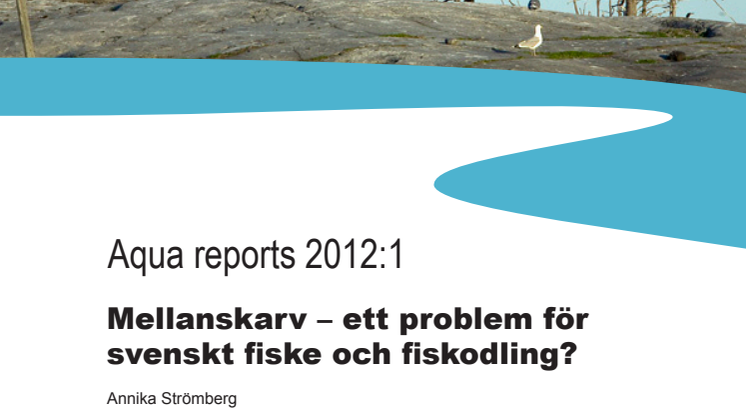 Aqua reports 2012:1: Mellanskarv – ett problem för svenskt fiske och fiskodling? 